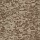 Philadelphia Commercial Carpet Tile: Arid 18 x 36 Tile Mesa